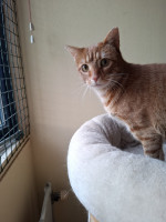 /album/26-02-20261/whatsapp-image-2026-02-26-at-17-59-53-jpeg/